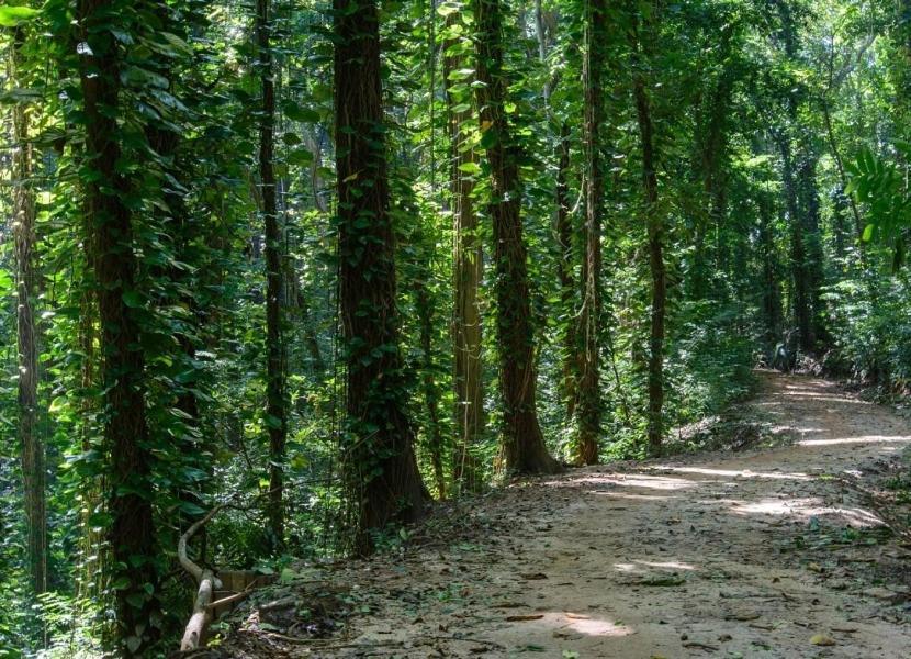 The Grove Homestay