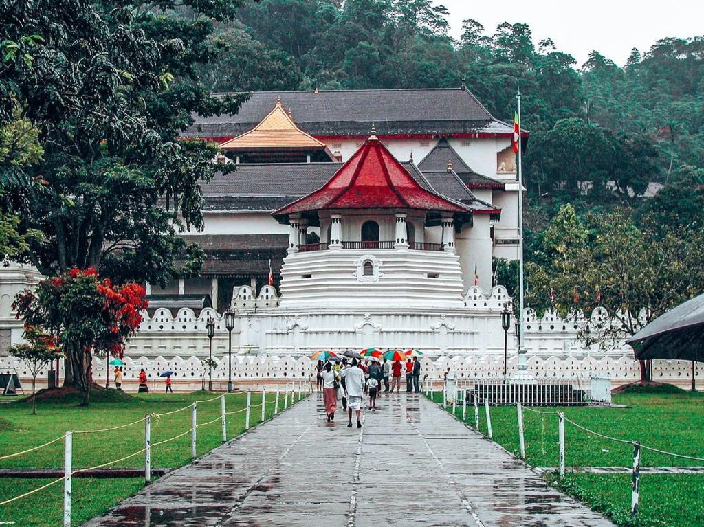Homestay The Grove