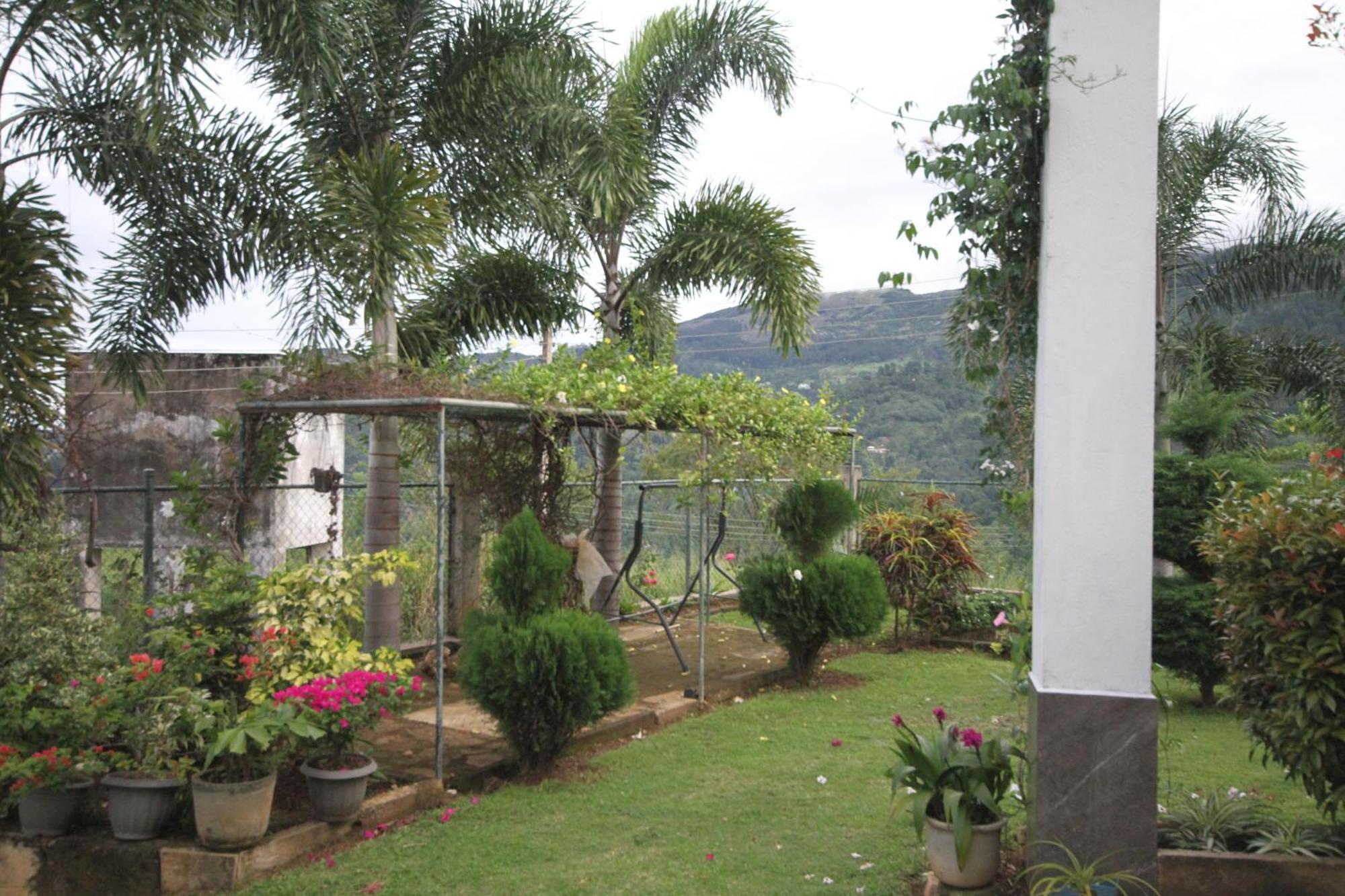 The Grove Homestay *
