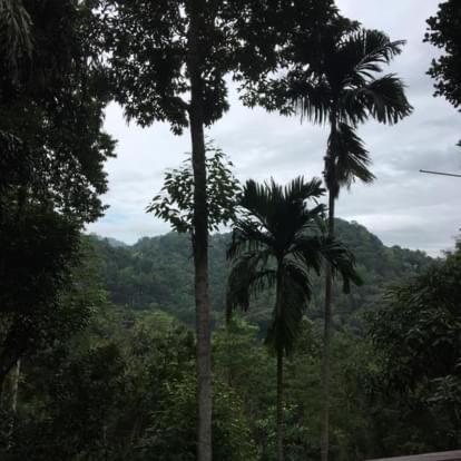 Homestay Villa25 Free Pick Up From The Centre Kandy