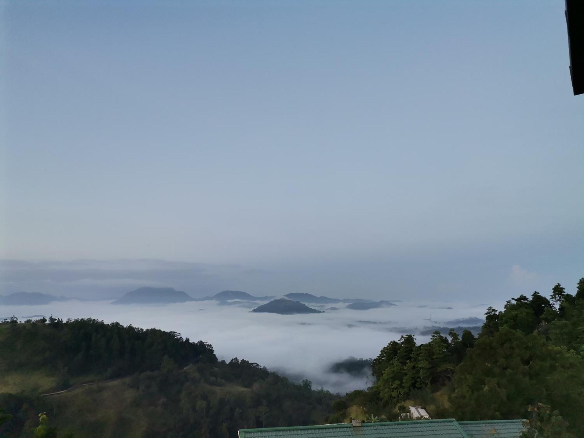 The Grove Homestay