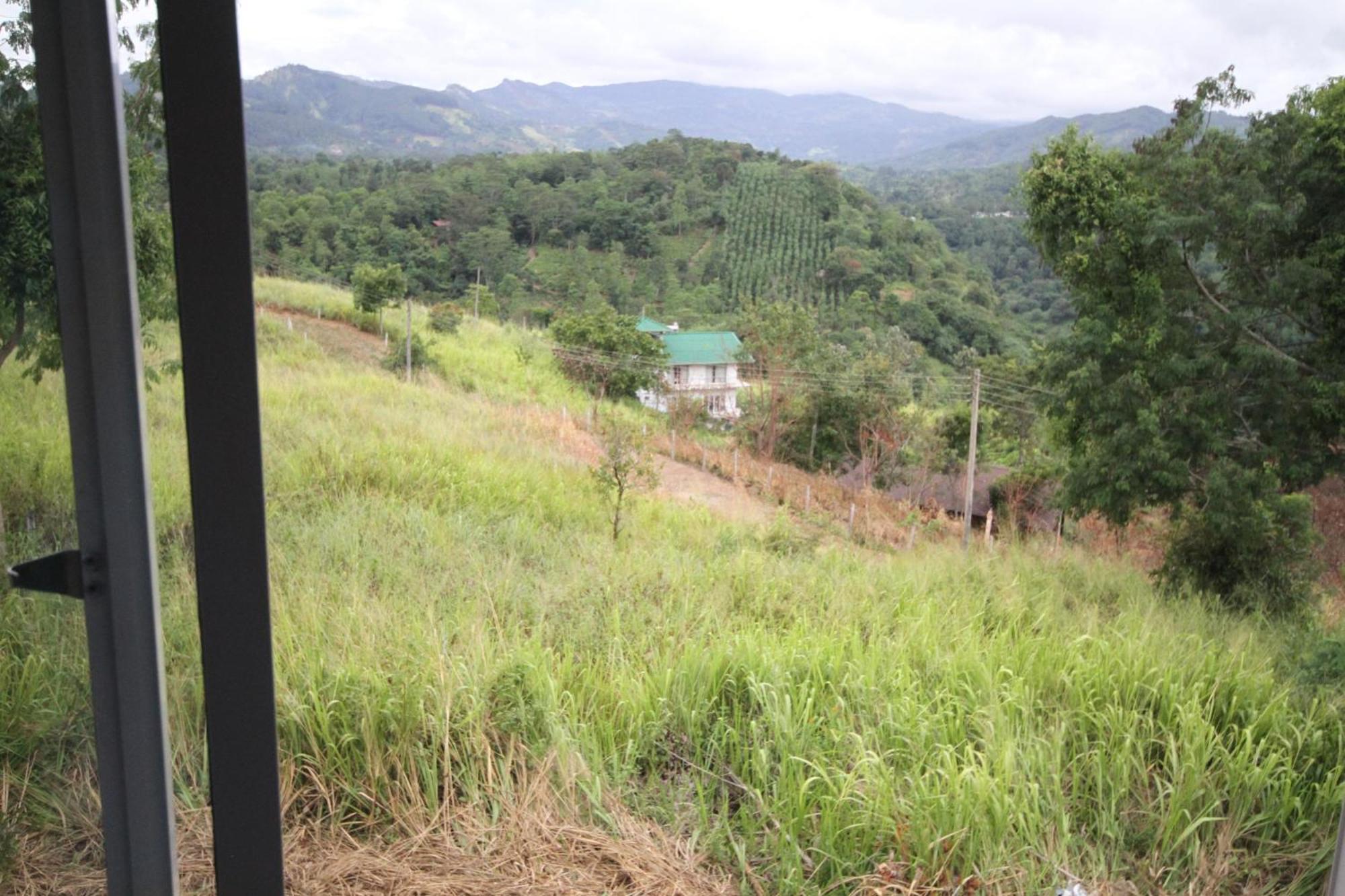 Homestay The Grove Kandy