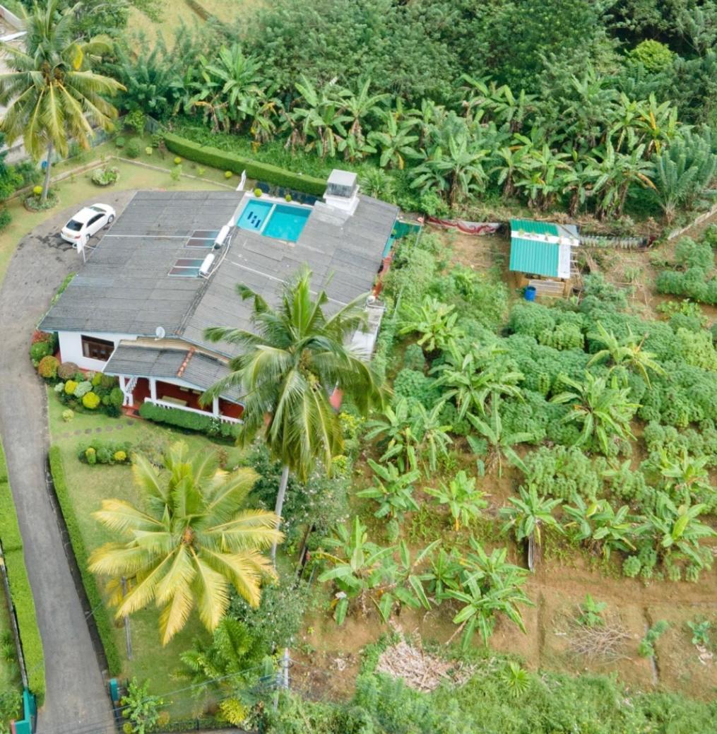 Villa Surveyor's