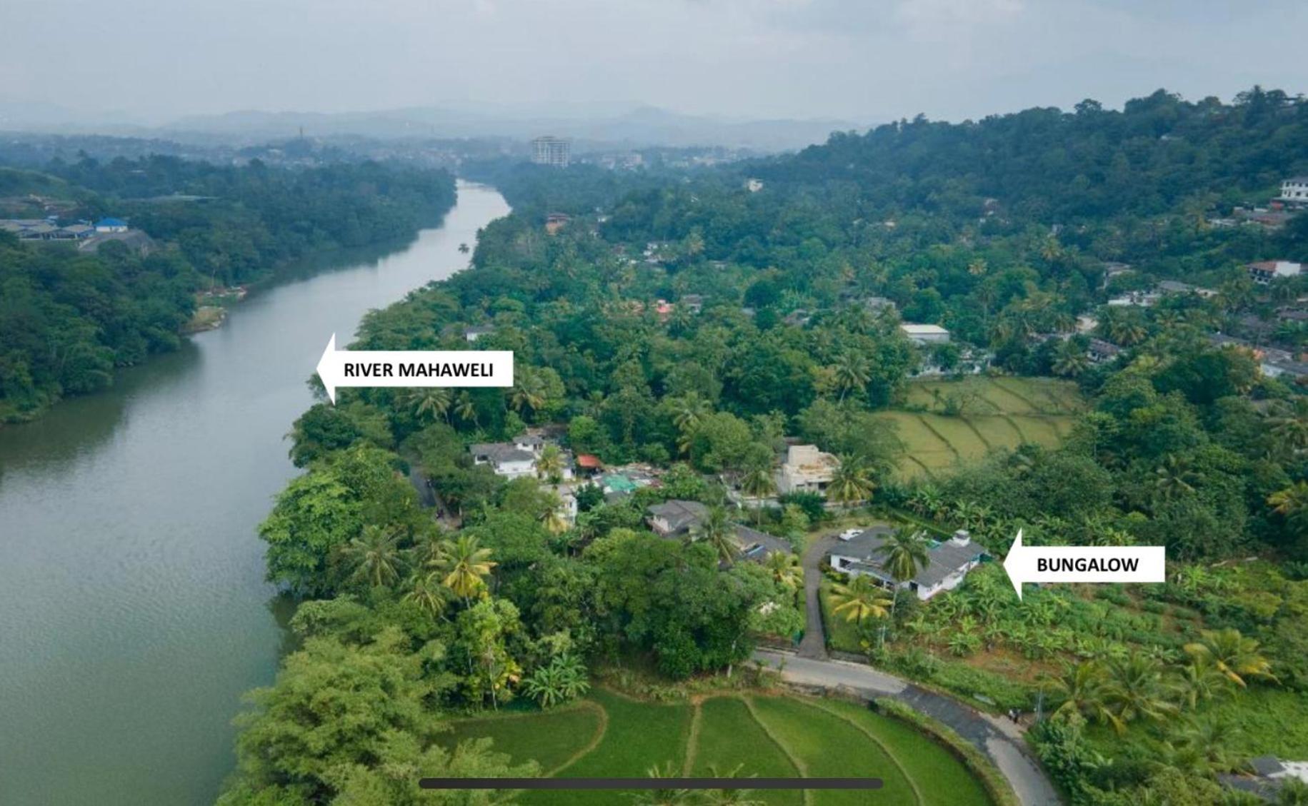 Surveyor's * Kandy