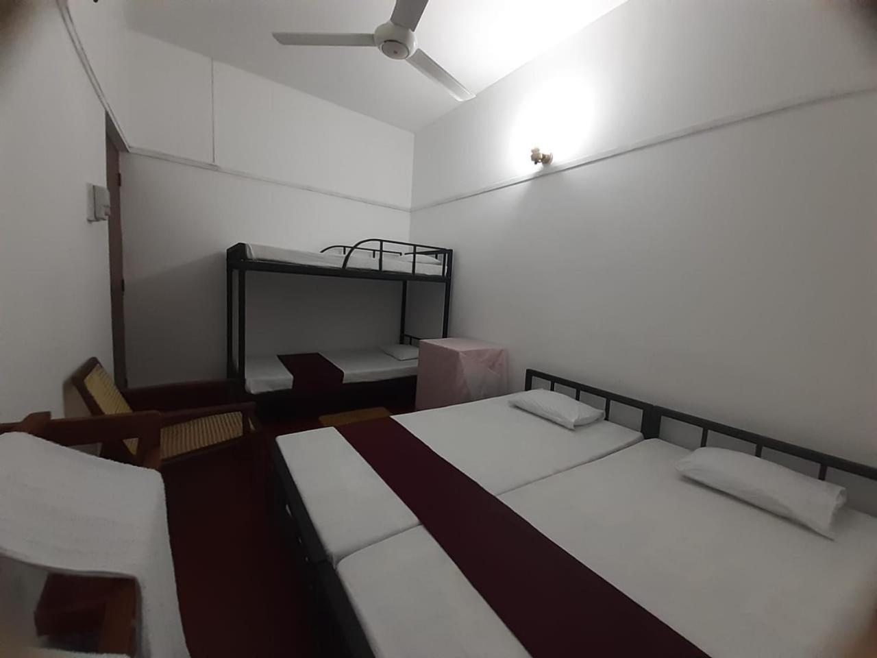 Lazy Bear In Hostel