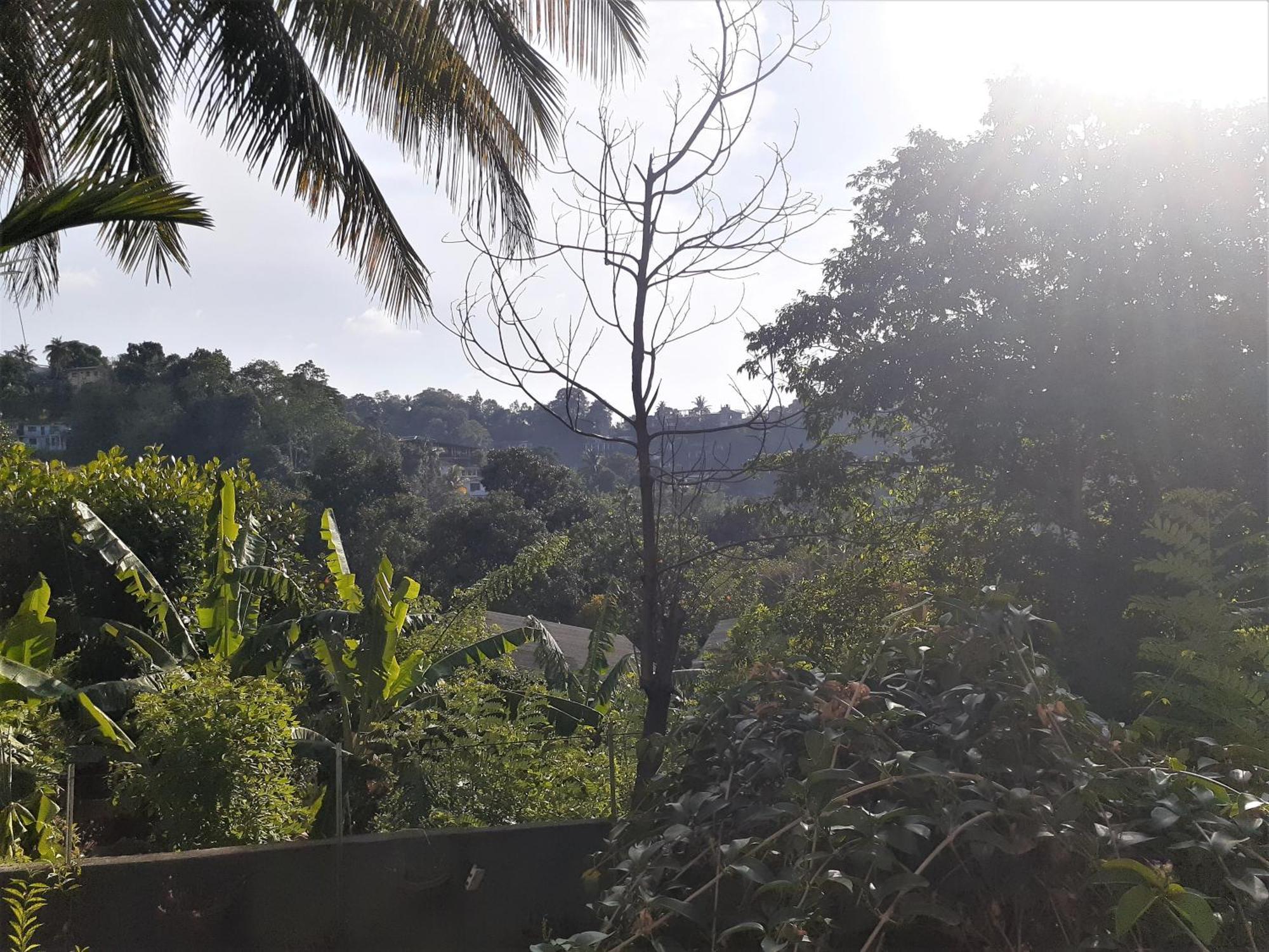 Resort Mountain Kandy