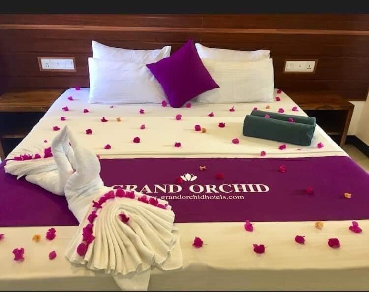 Grand Orchid 3*