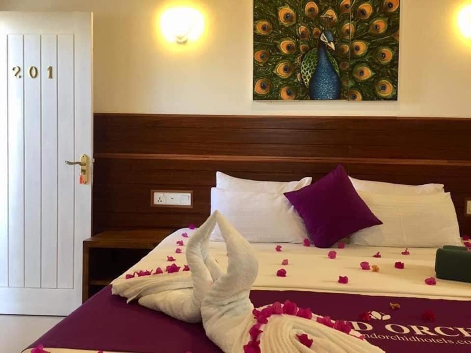 Grand Orchid 3*