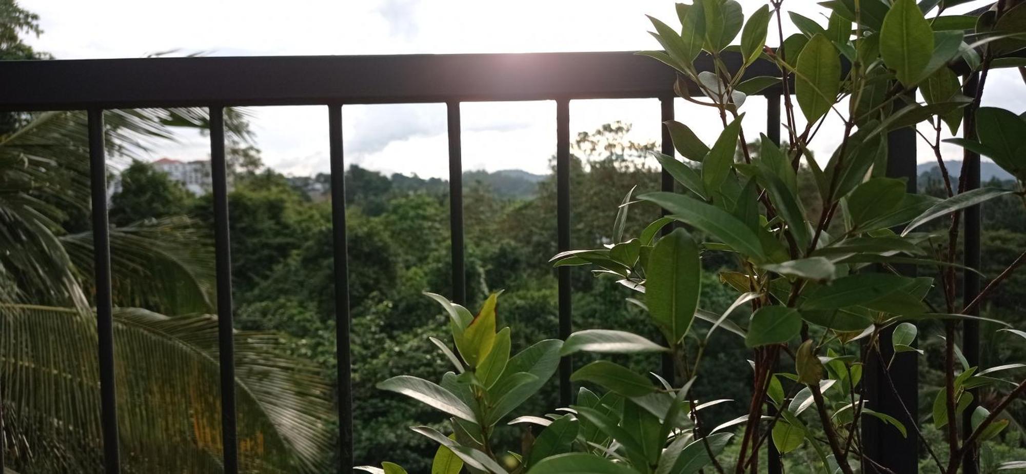 Forest View - No: 50/17 Homestay *