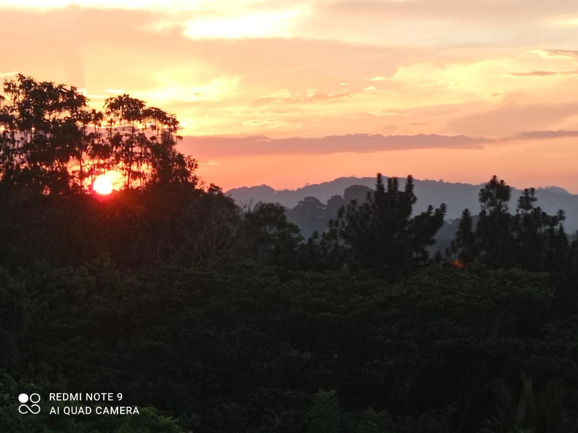 Forest View - No: 50/17 * Kandy
