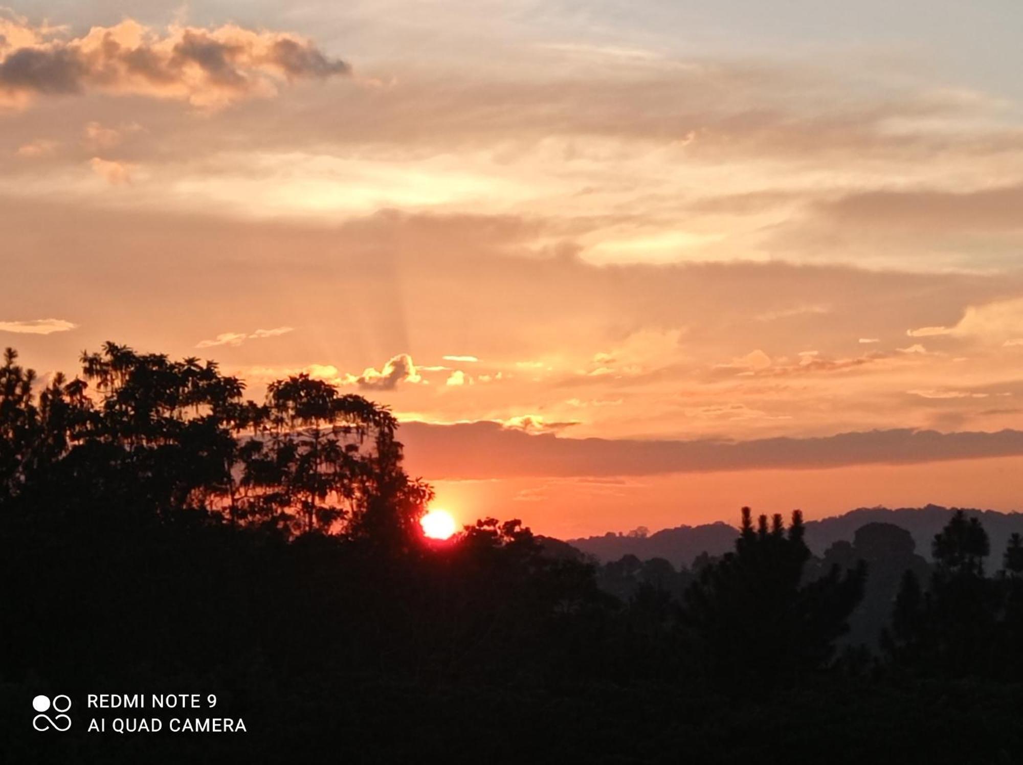 Forest View - No: 50/17 Homestay