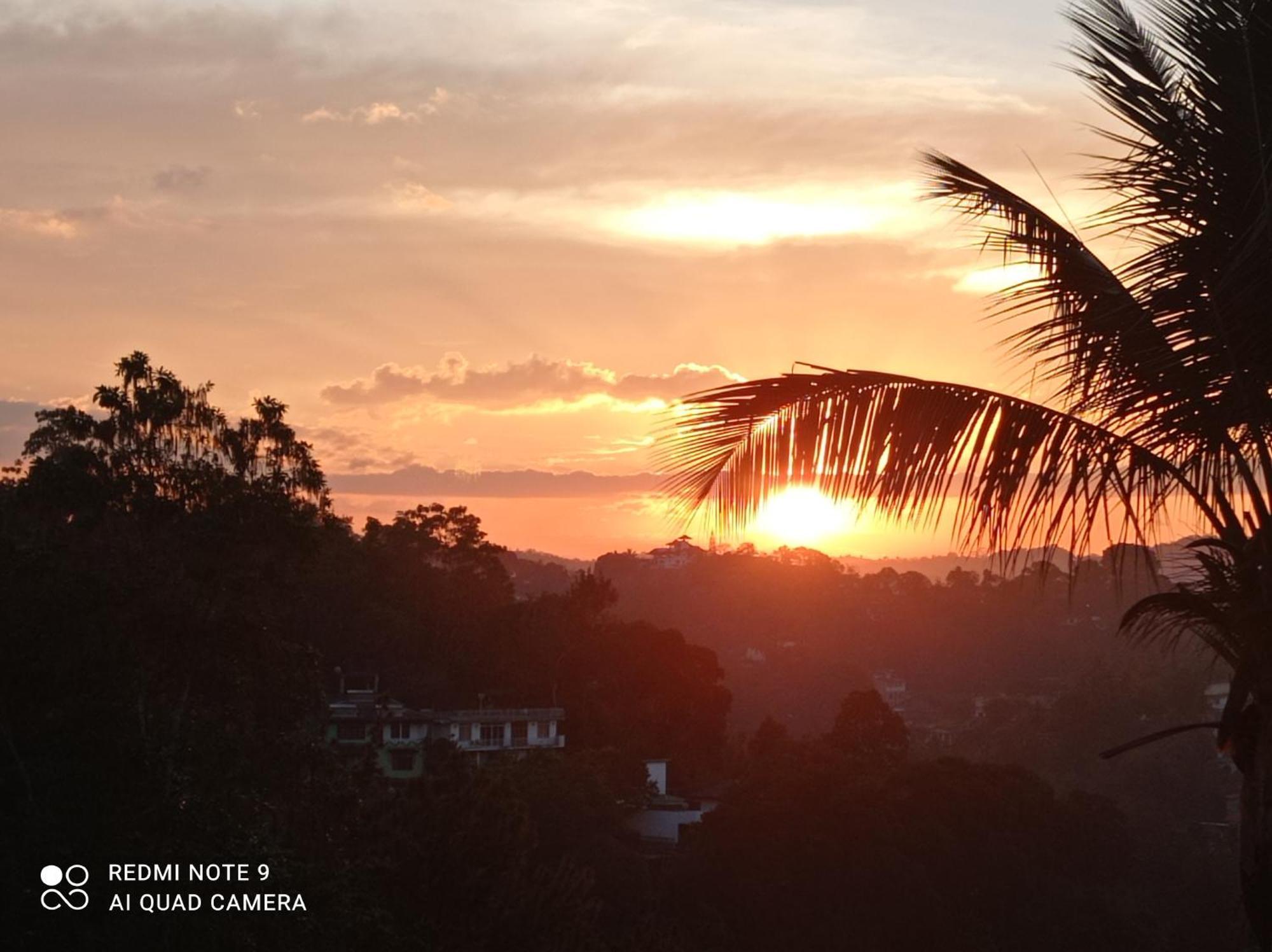 Homestay Forest View - No: 50/17 *