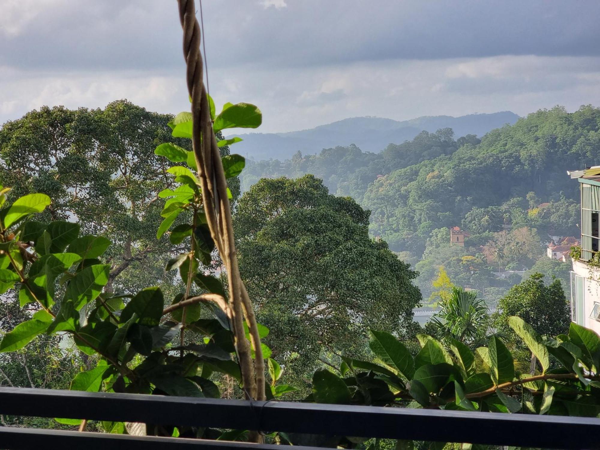 Homestay Easy