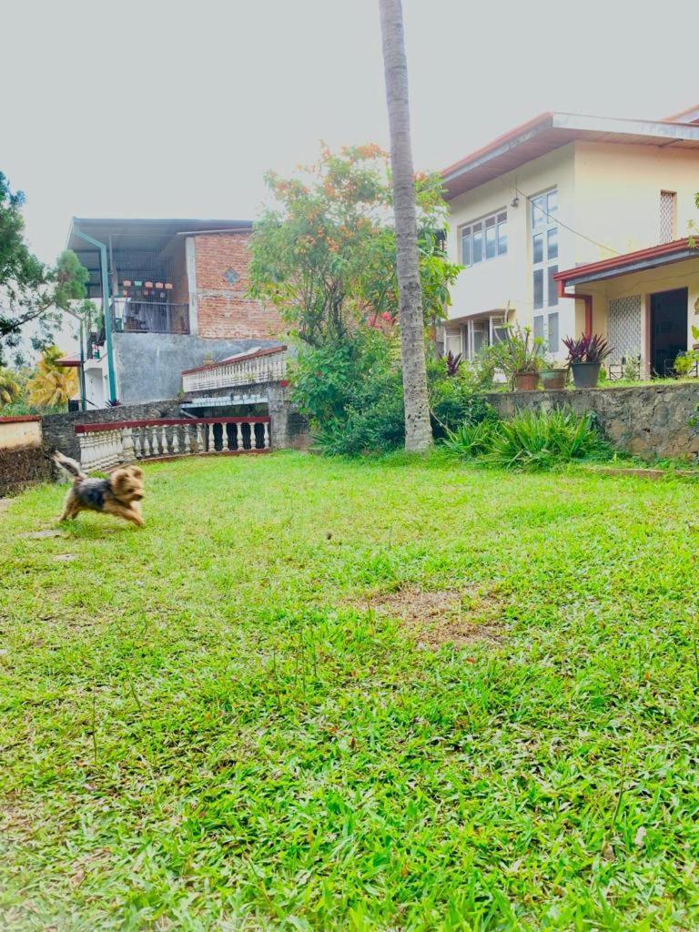 Country house No 06 Veediya Bandara Lane Bahirawakanda *