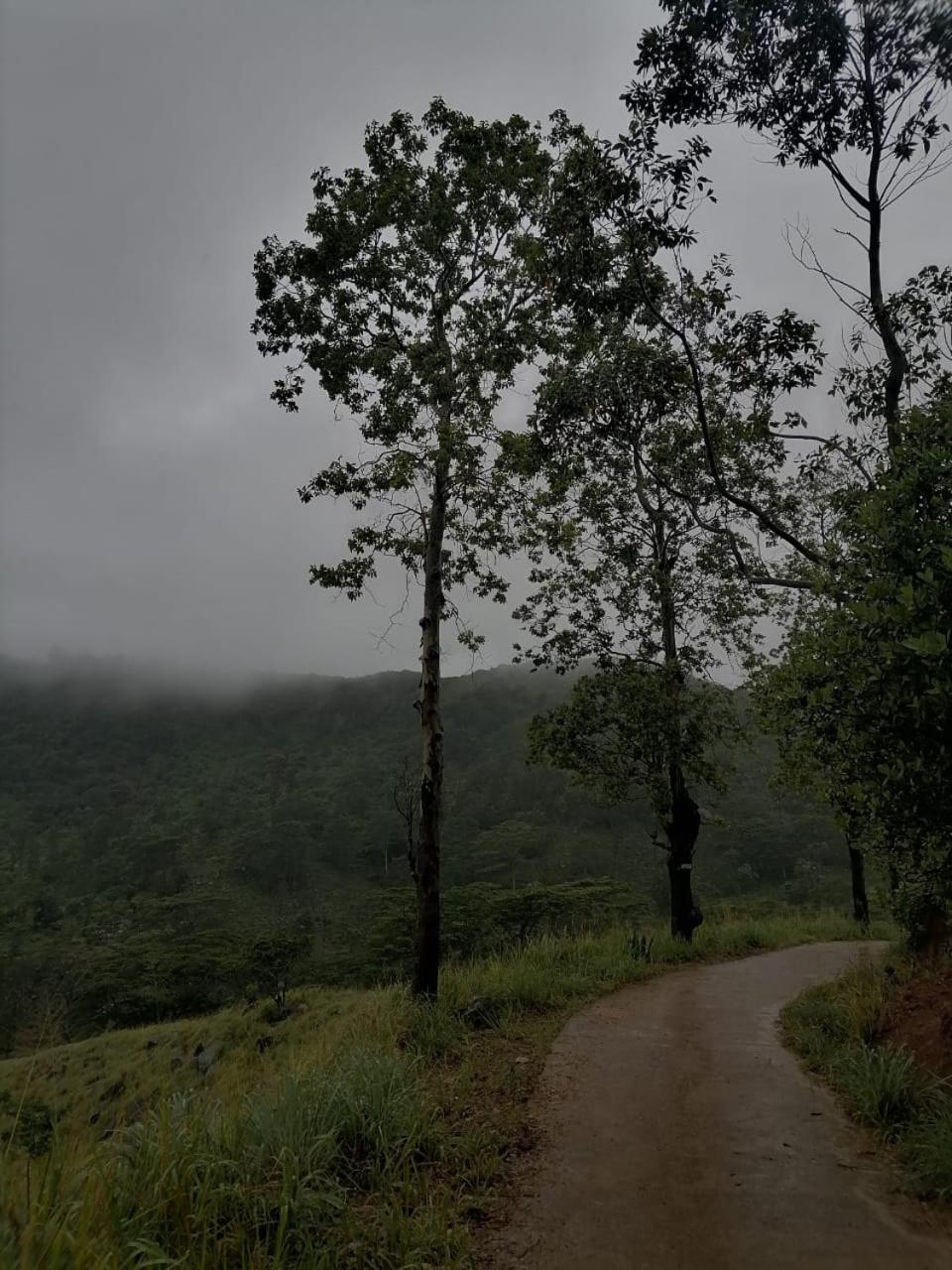 Homestay The Off Road *