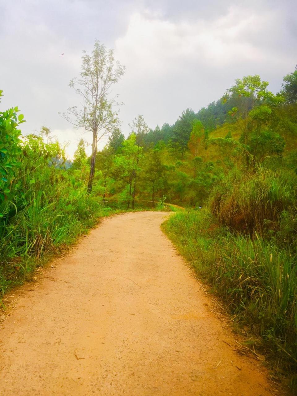 The Off Road * Kandy