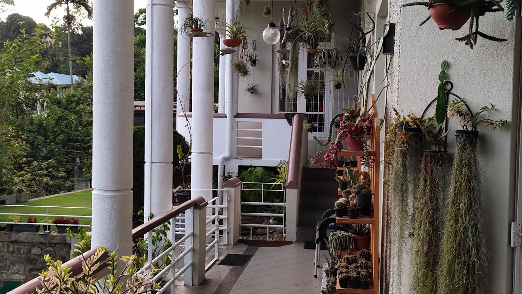 Homestay Marvel Hills *