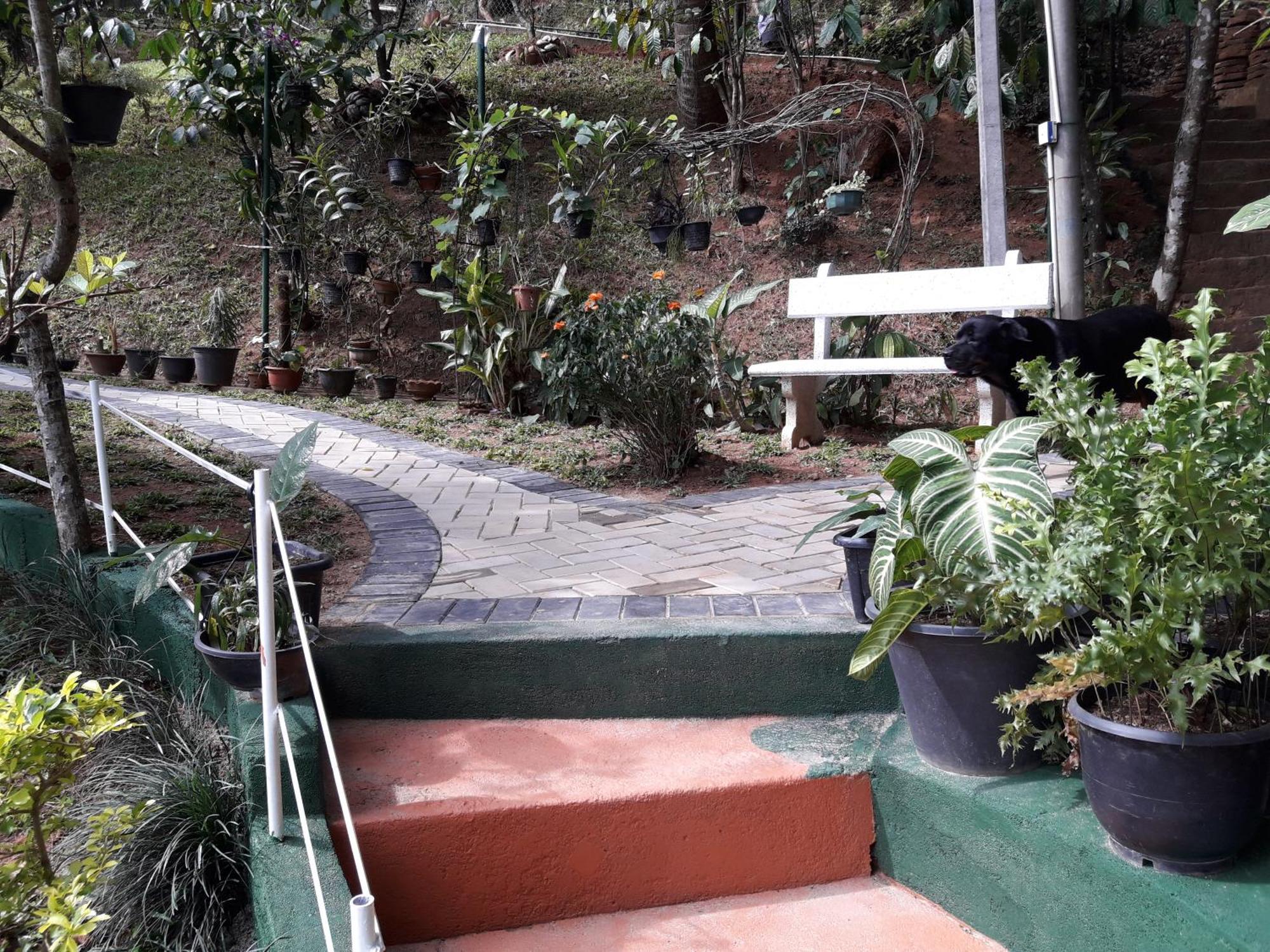 Marvel Hills * Kandy