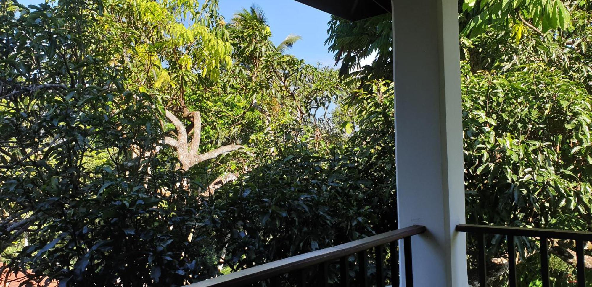 Guest house Windy Ridge 3*