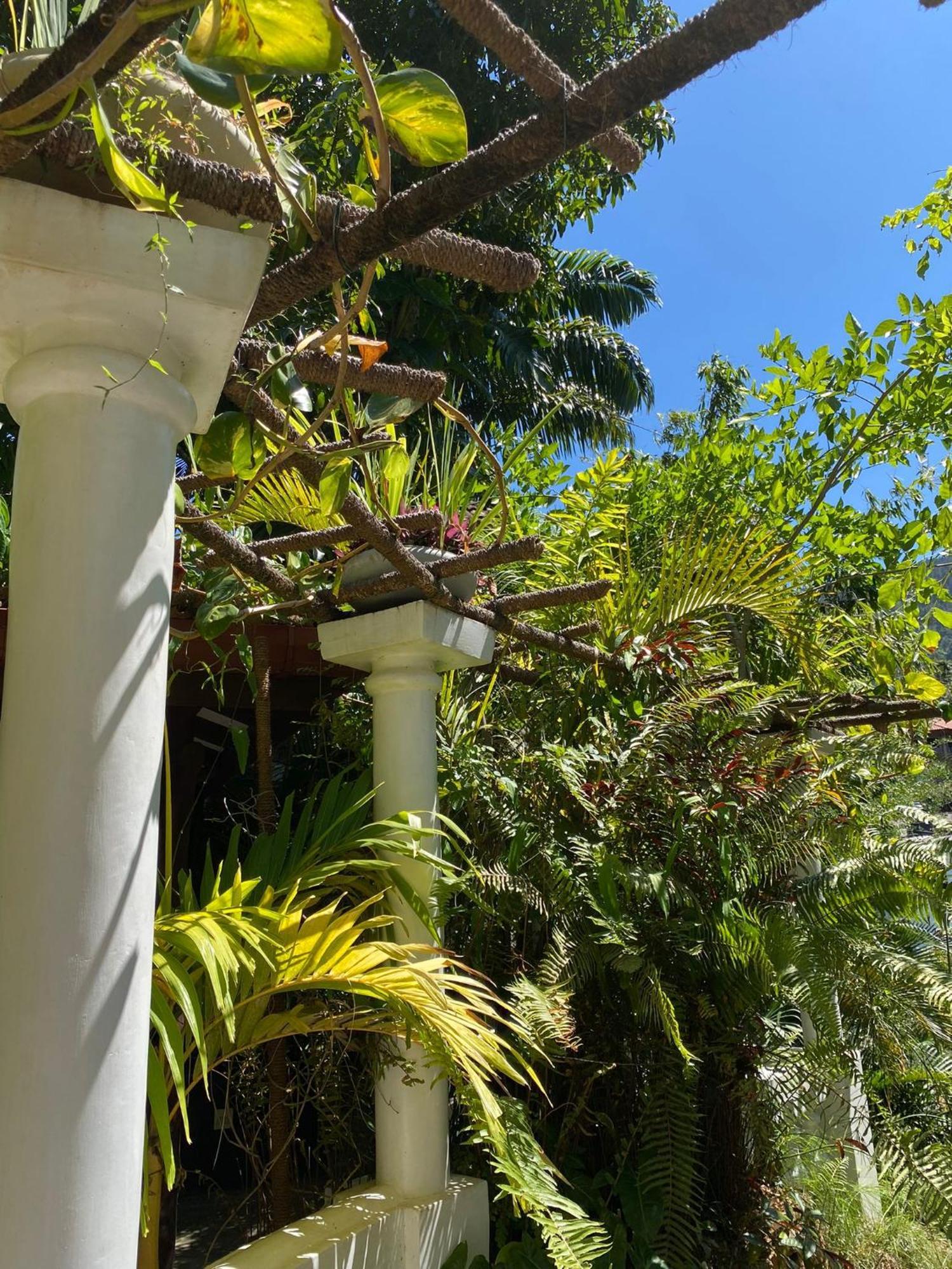 Olde Ceylon *