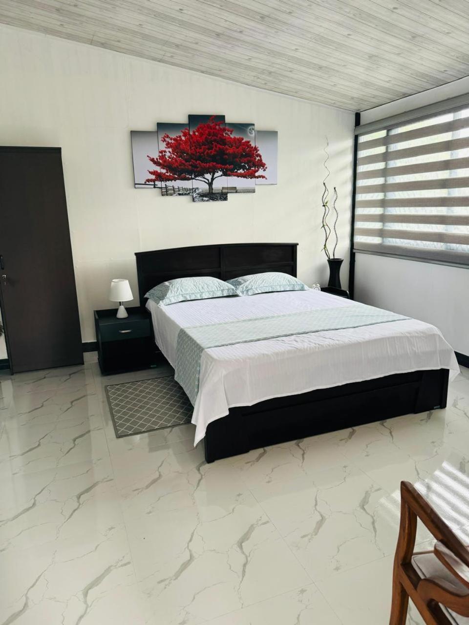 La Isla * Kandy
