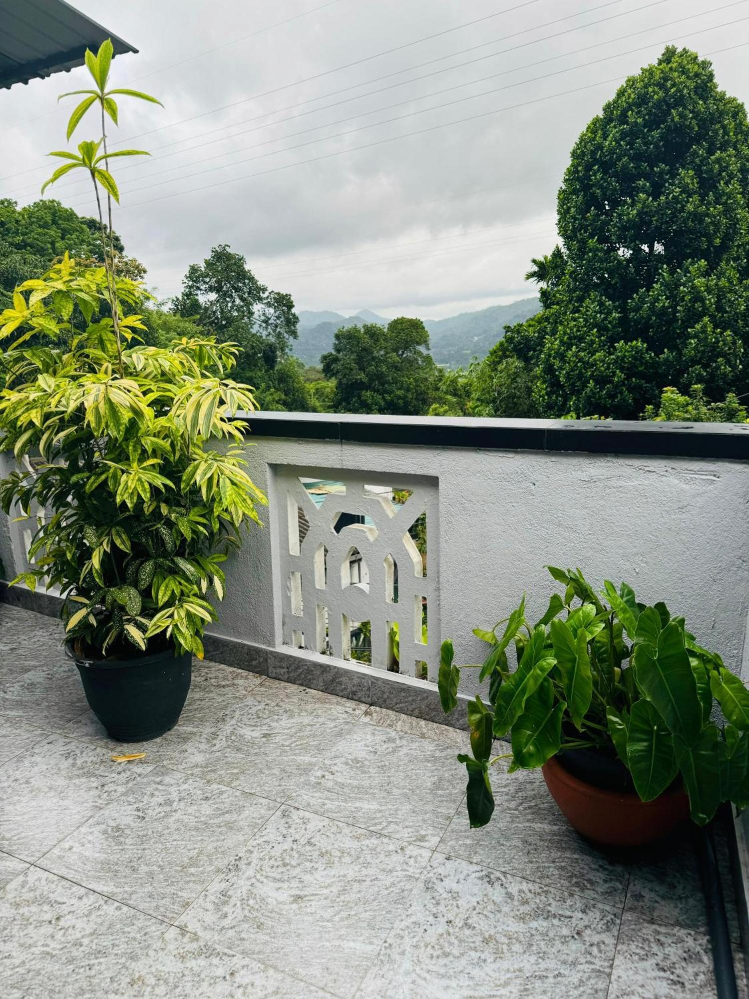La Isla Homestay *
