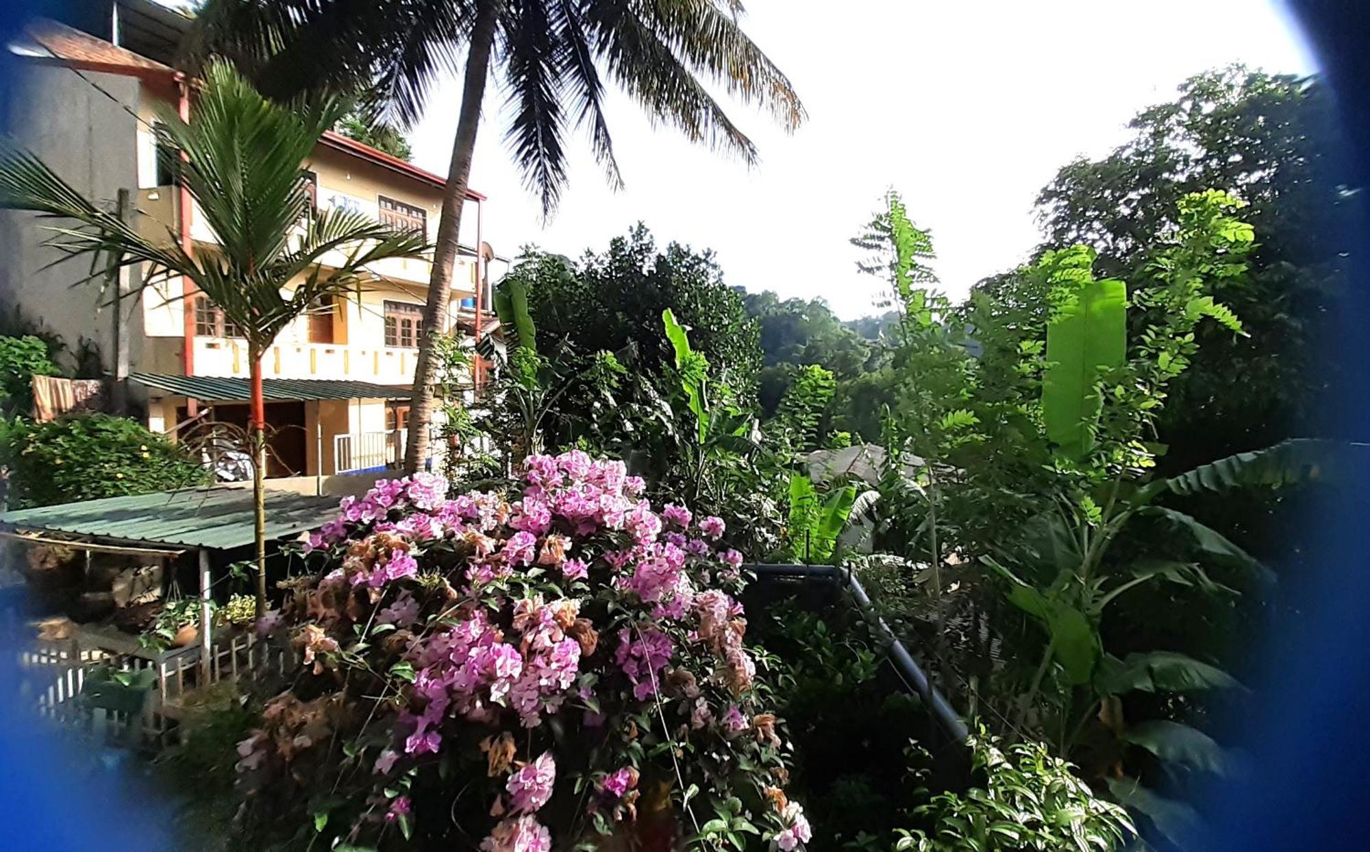 Resort Mountain *