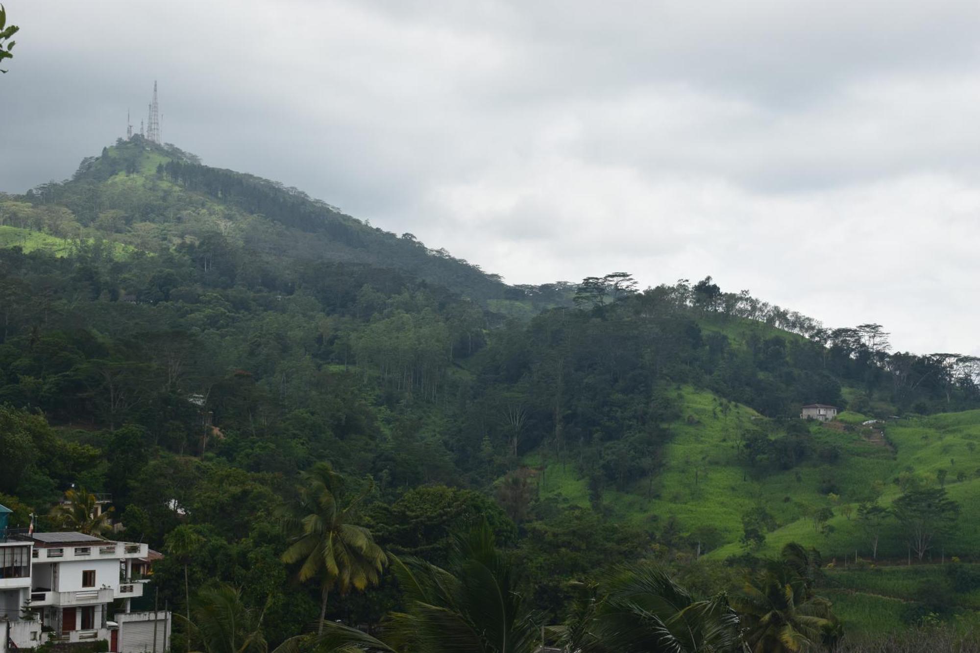 Namaya Nature