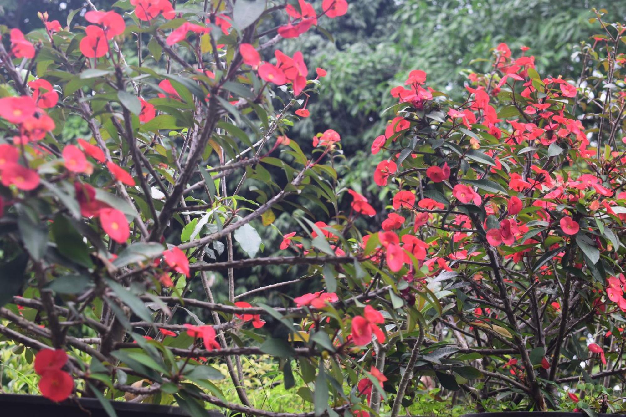 Namaya Nature Homestay Kandy