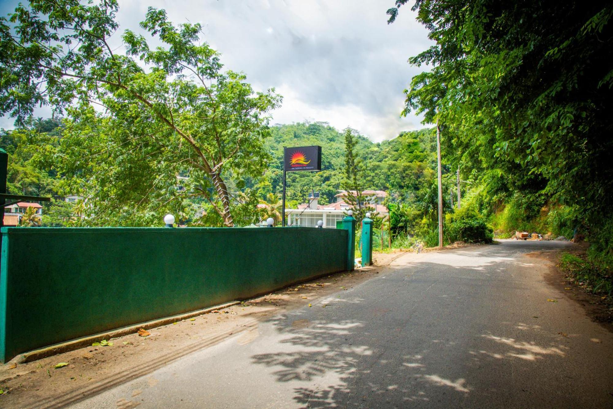 Sunbloom Kandy