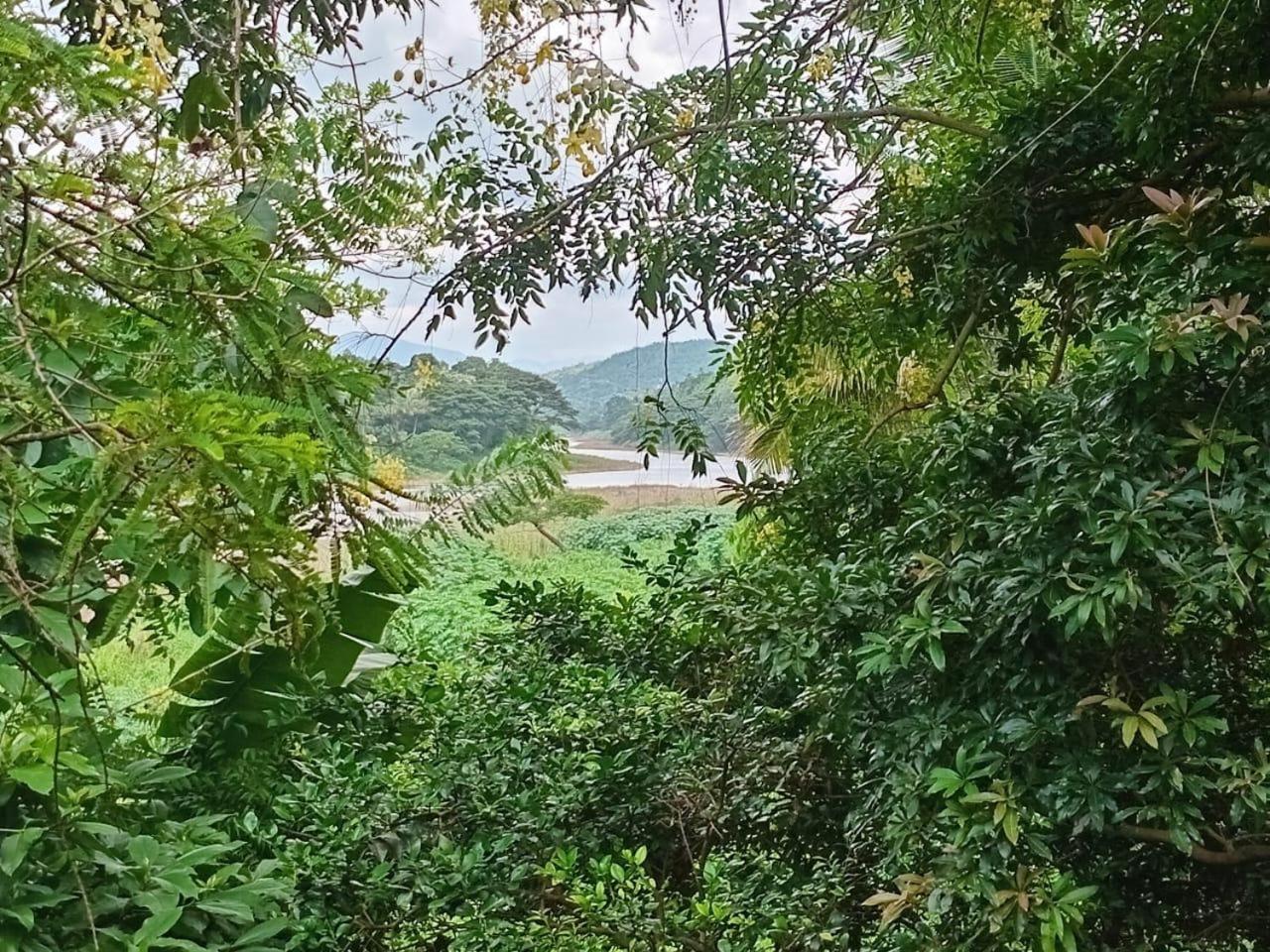 The River * Kandy
