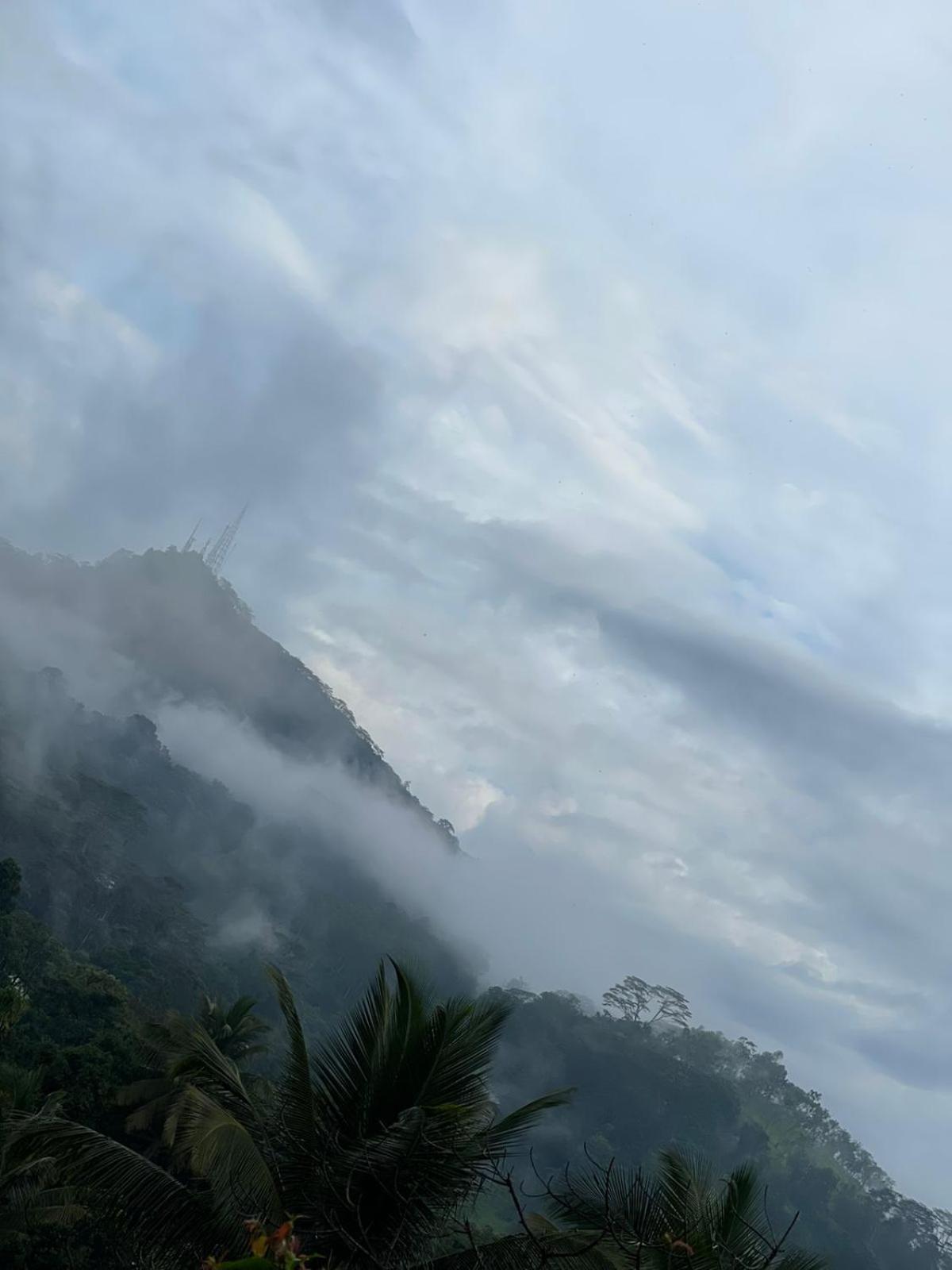 Namaya Nature