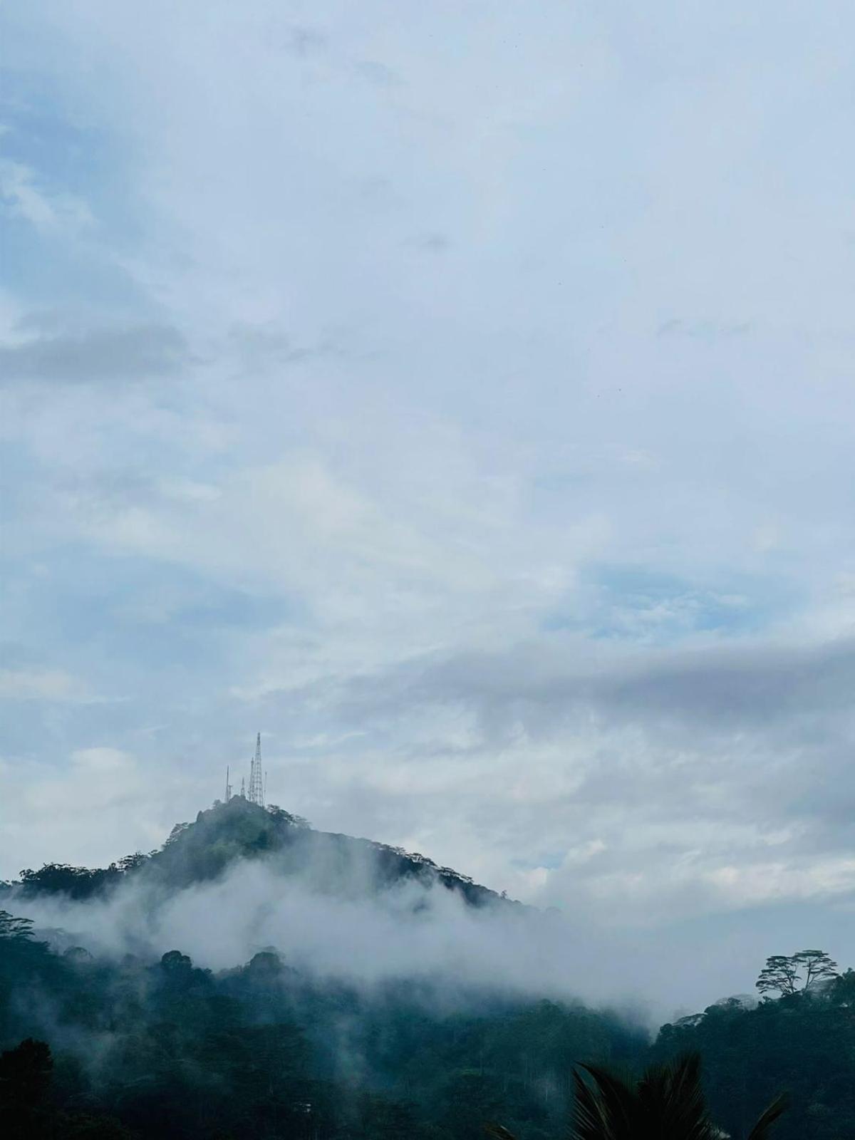 Namaya Nature Homestay Kandy