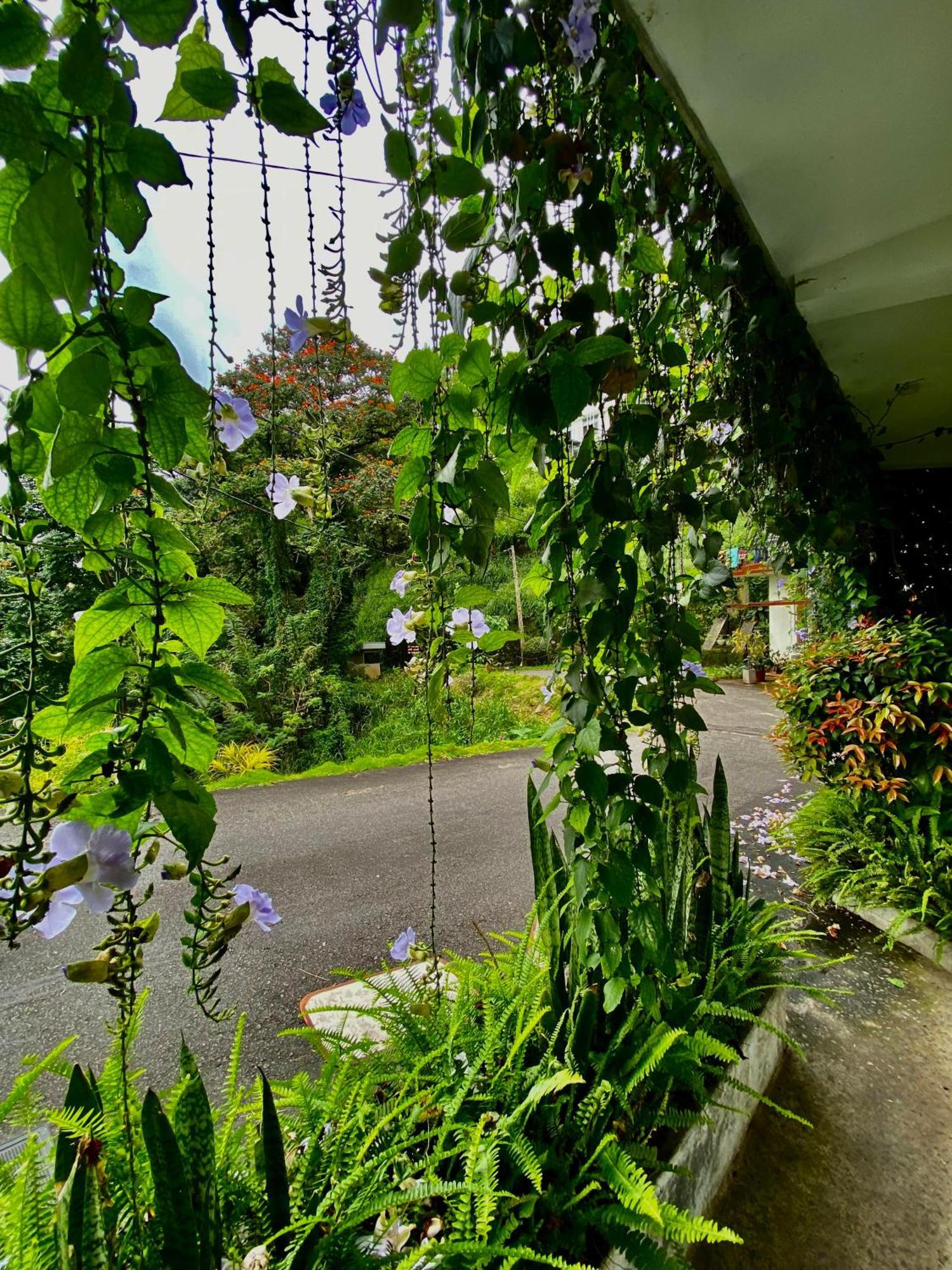 Sesatha * Kandy