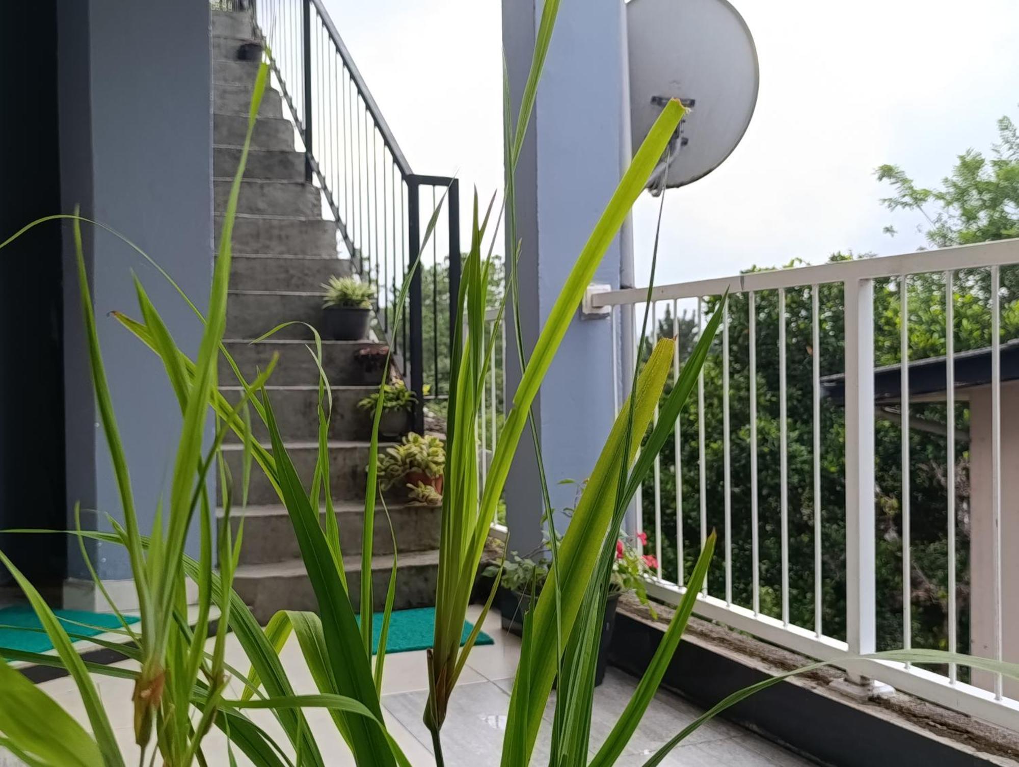 Forest View - No: 50/17 Homestay Kandy