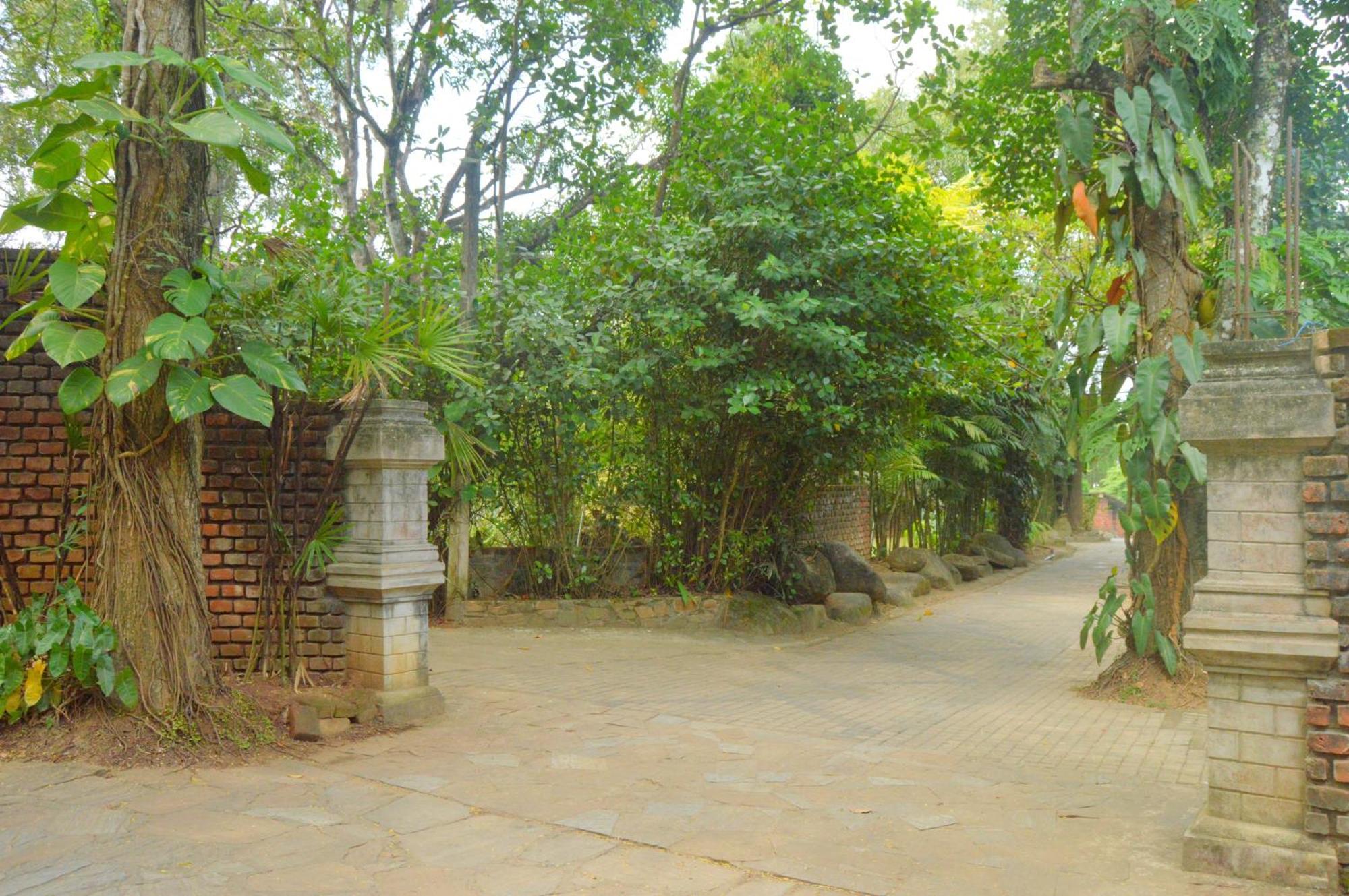 Araliya & Banquets Digana