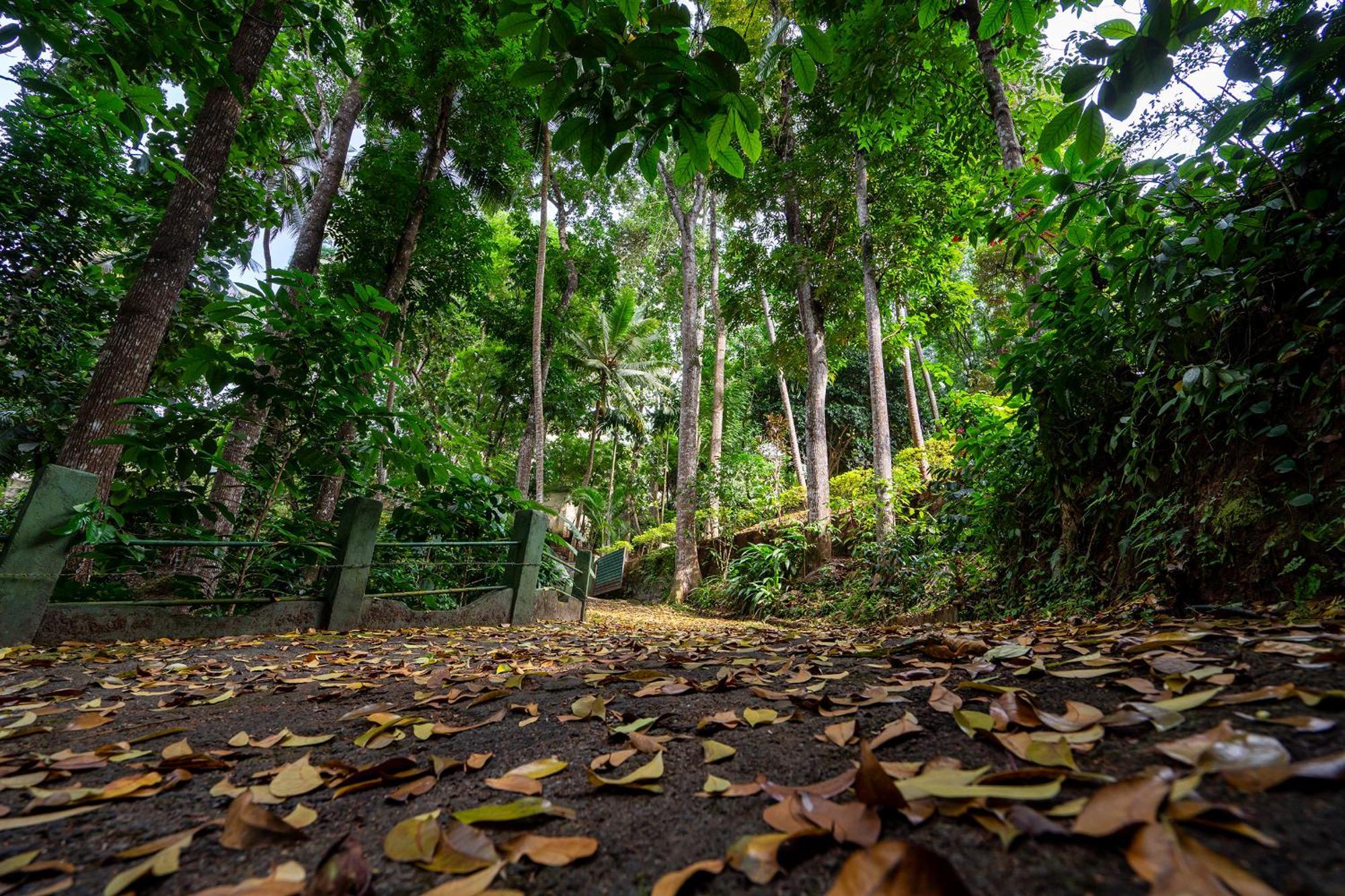 Guest house Windy Ridge Kandy