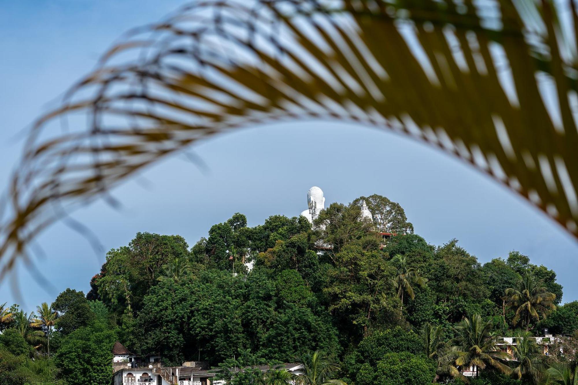 Windy Ridge Guest house 3*