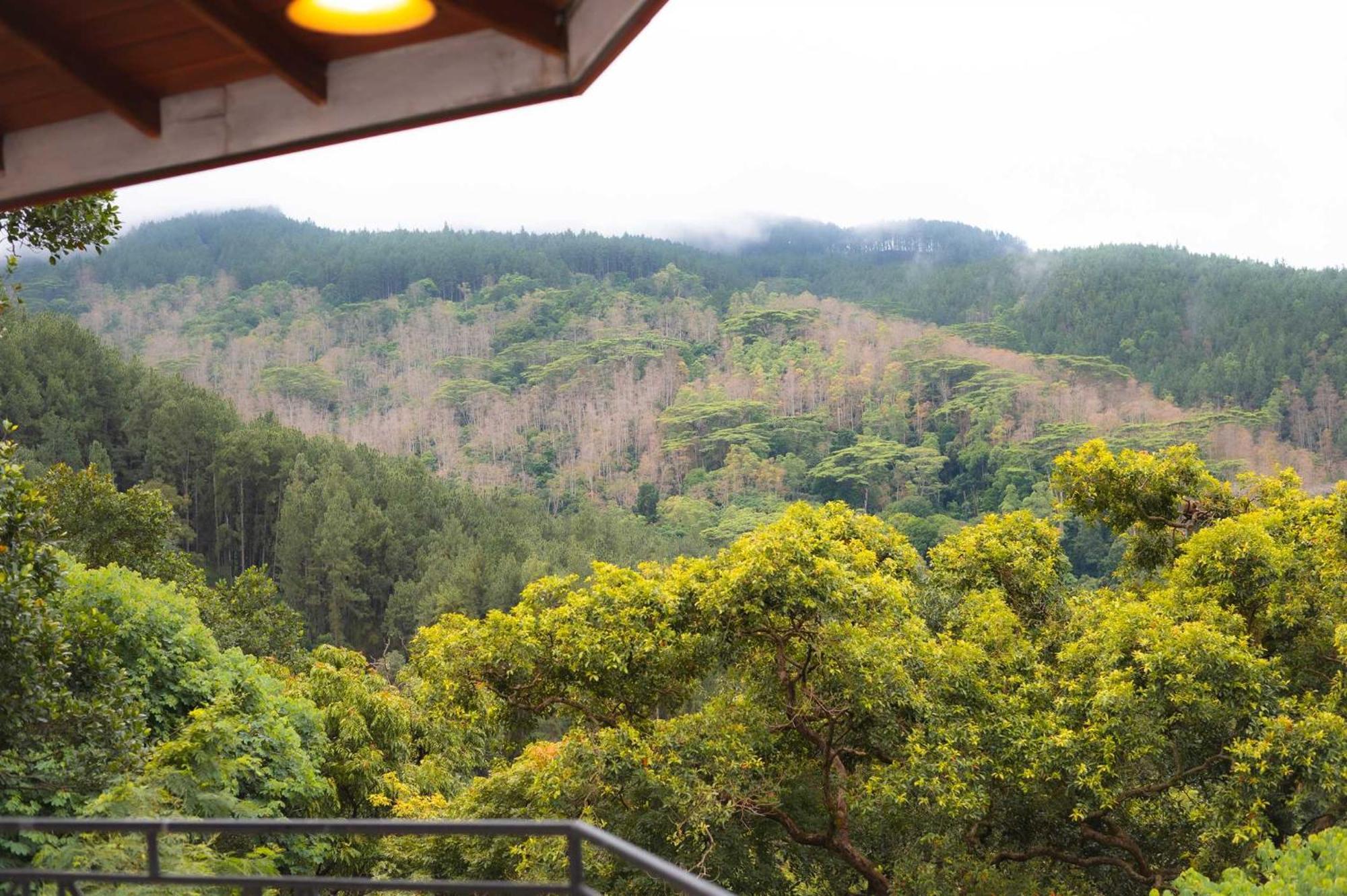 Voyage Homestay Kandy