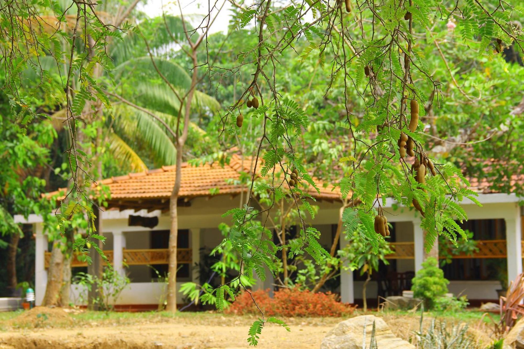 Little White House Hotel