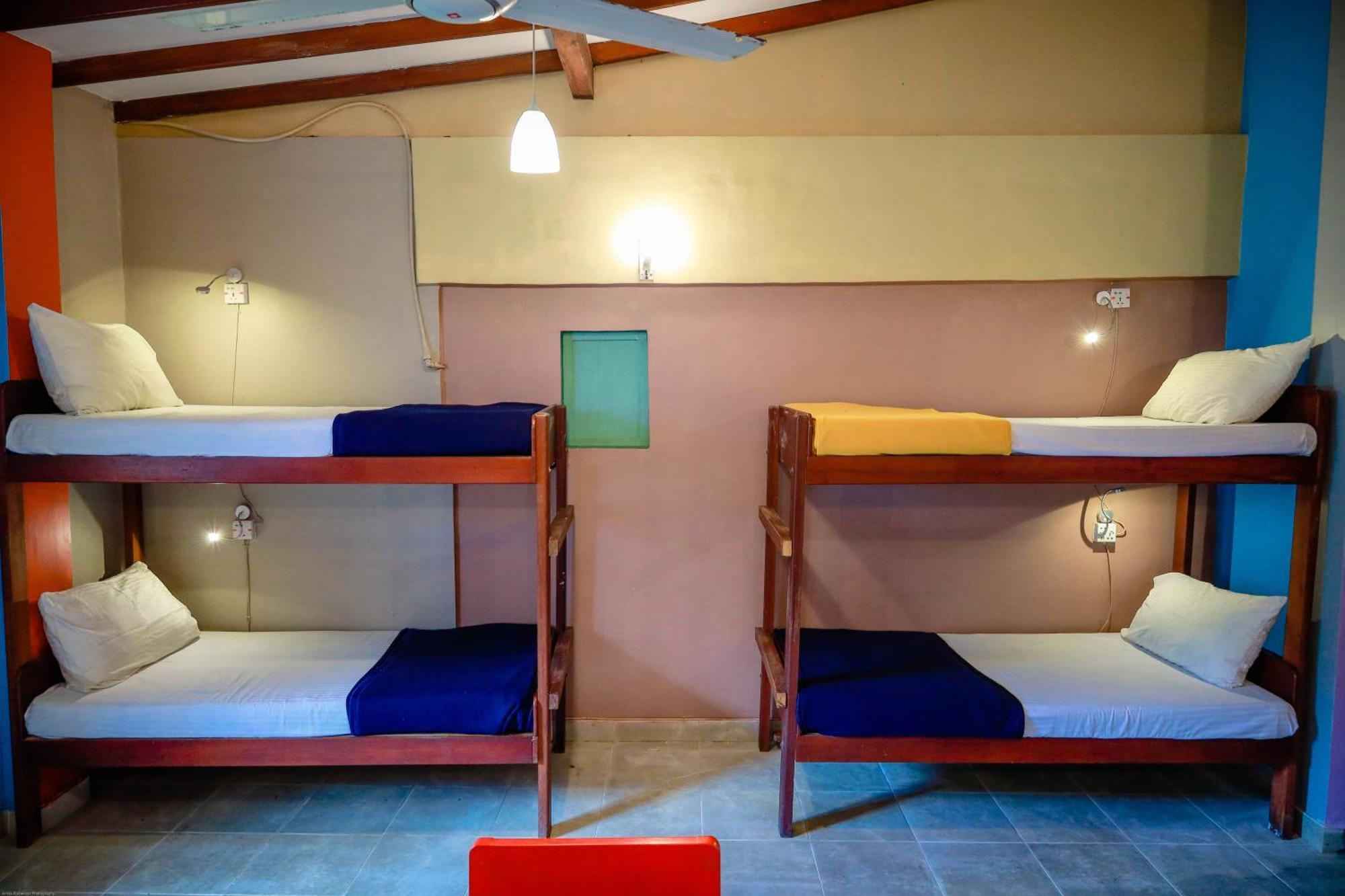Funk Bunk - Mount View Hostel