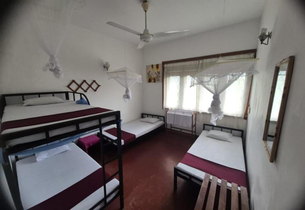 Lazy Bear In Hostel *