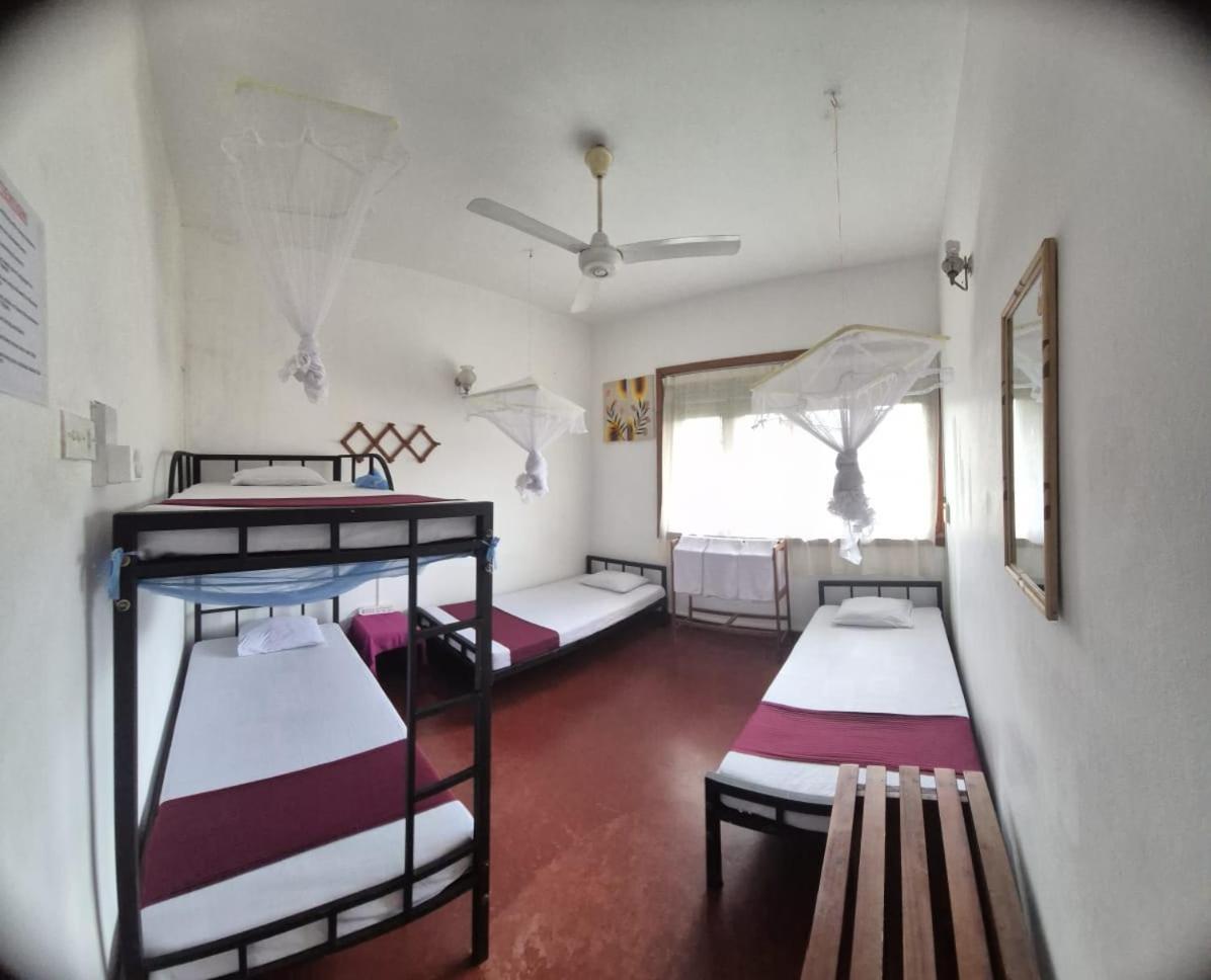 Hostel Lazy Bear In *