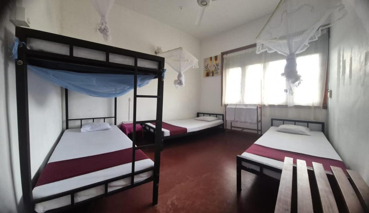 Lazy Bear In Hostel