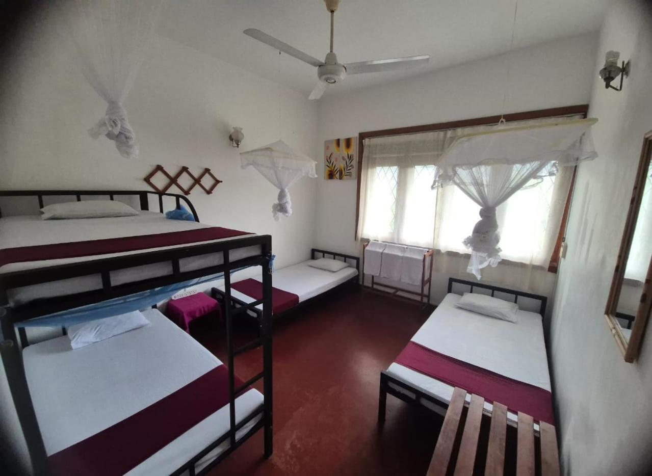Hostel Lazy Bear In