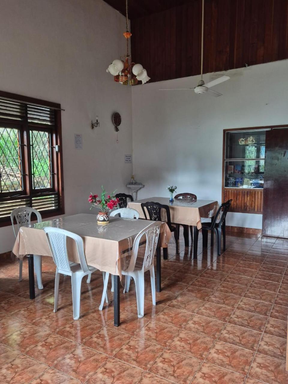 Lazy Bear In Hostel Kandy