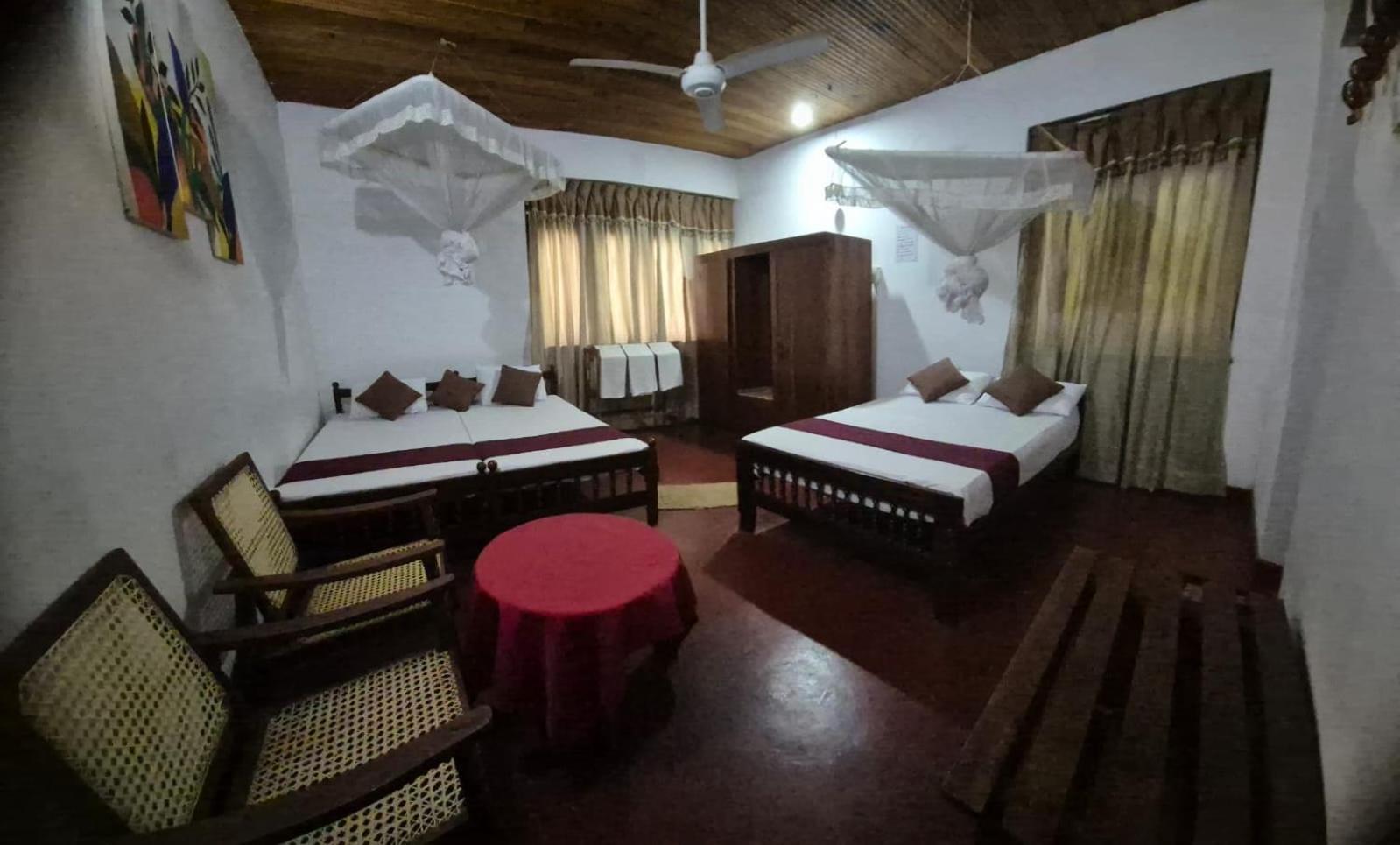 Lazy Bear In Hostel