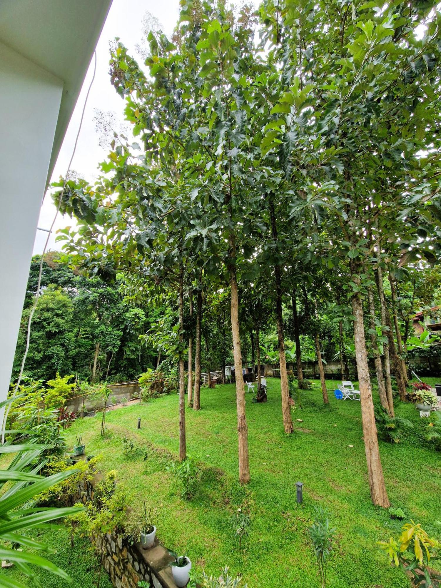 Villa Sole Kandy