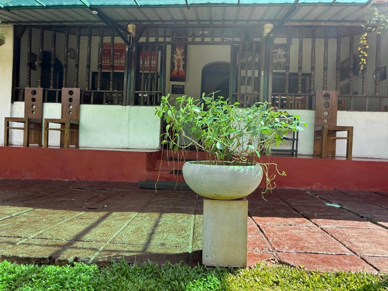 Guest house Classical