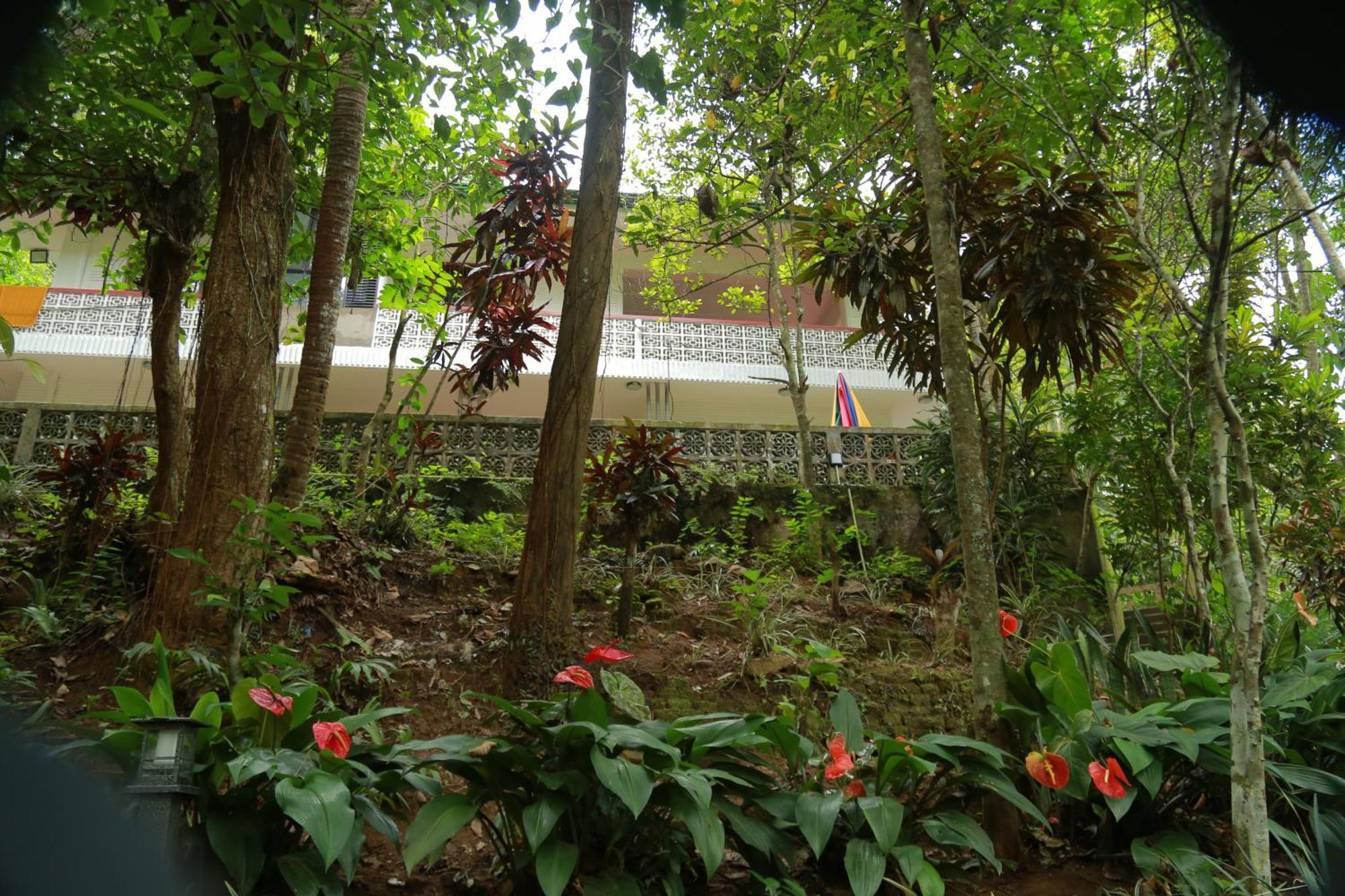 Serene Scene Eco * Kandy